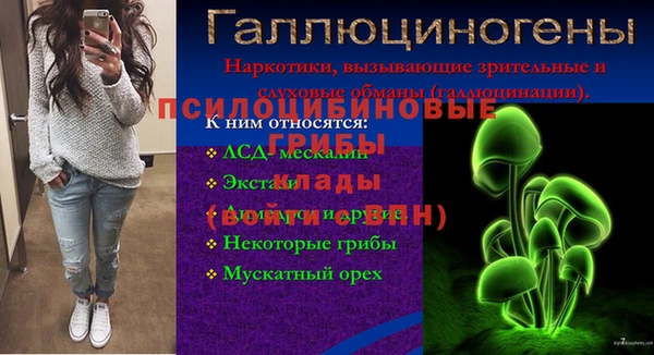 дмт Алексин