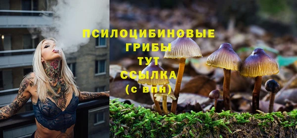 дмт Алексин