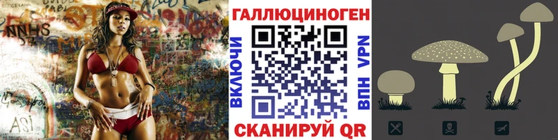 Купить закладки  Никольское  Псилоцибиновые грибы ЛСД 
