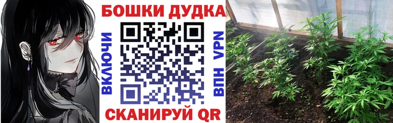 Бошки марихуана тримм  Купить закладки  Никольское 